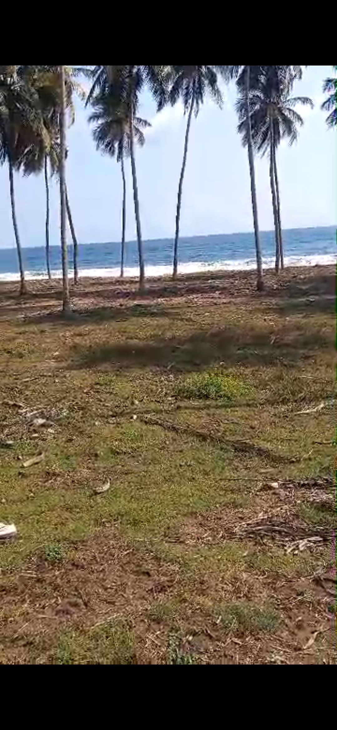 Terrain 500 m² - 15 millions - proximité mer - JACQUEVILLE
