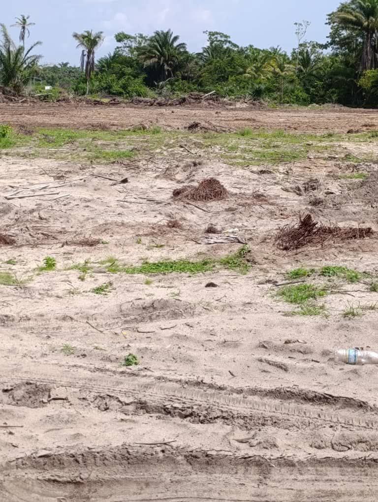 Travaux d'aménagement sur 50 ha