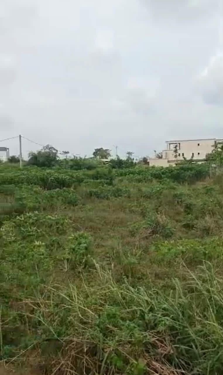 Terrain en vente