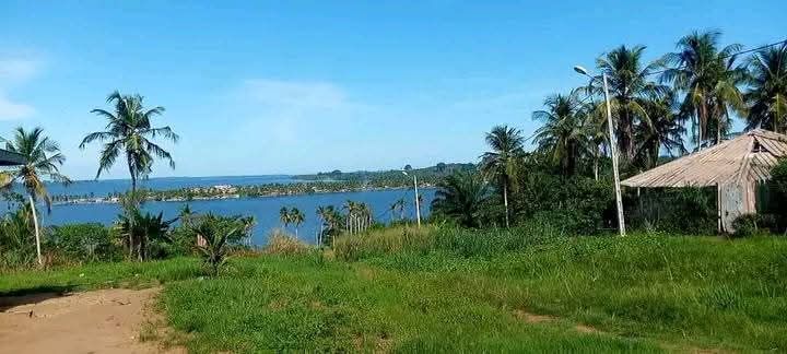 GRAND SITE À VENDRE À LAUZOUA – DÉPARTEMENT DE GUITRY