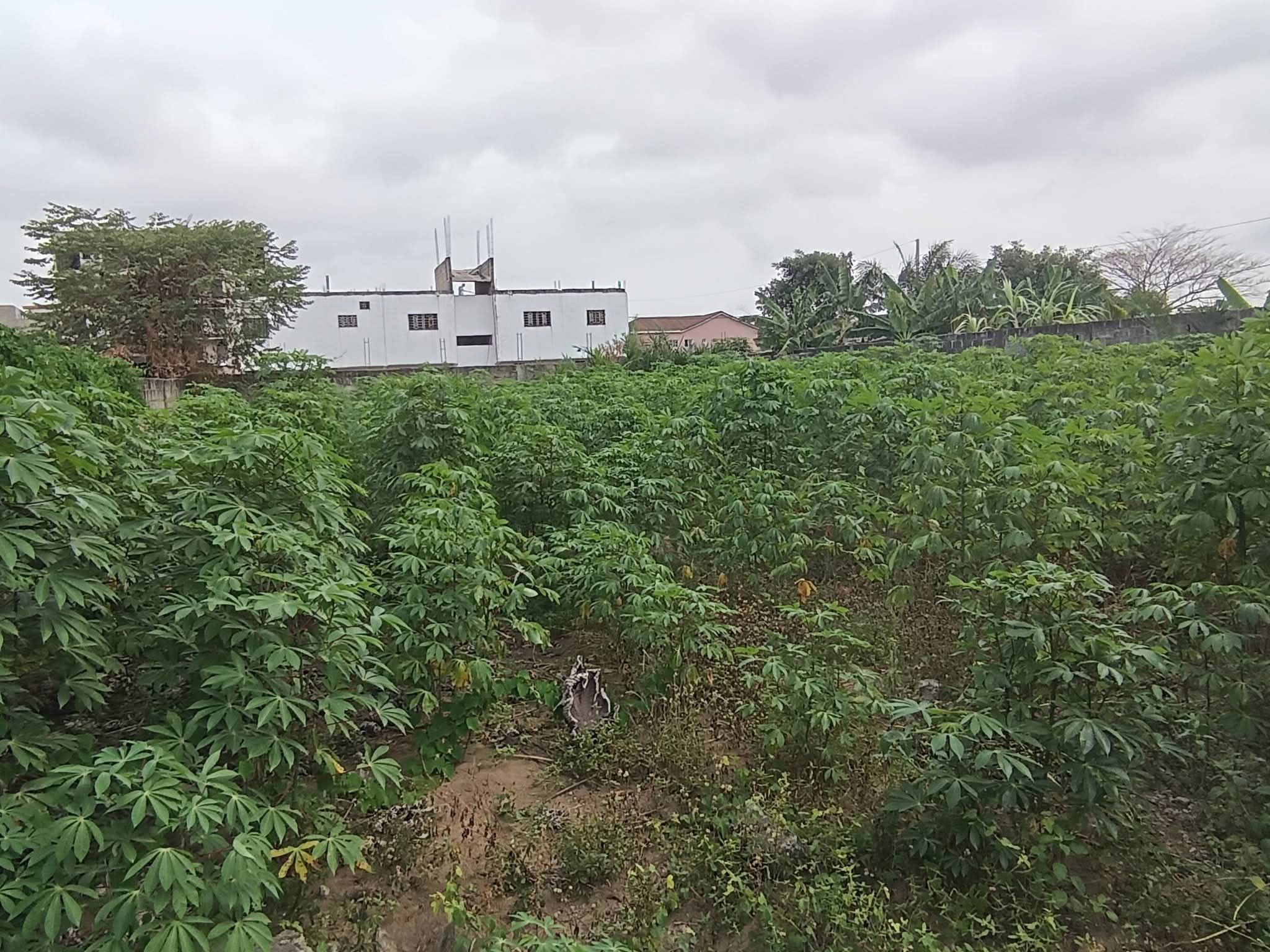 Terrain en vente 600 m2