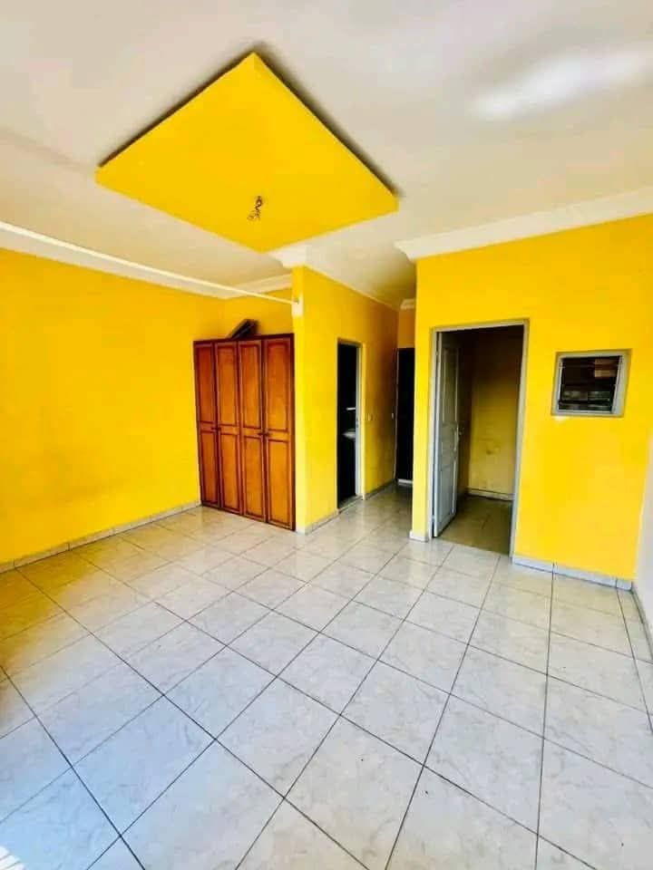Grand studio américain