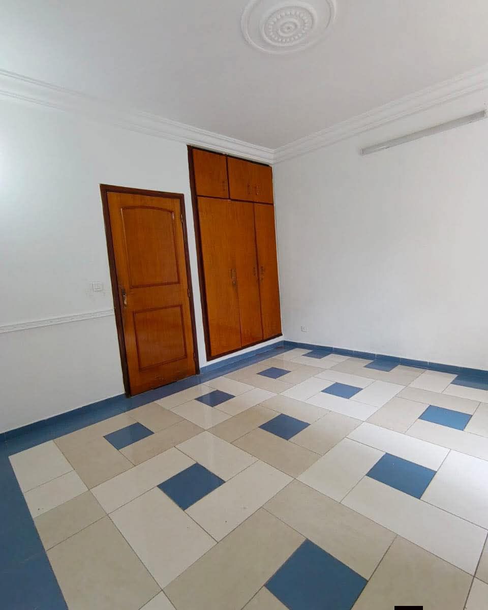 Spacieux studio bien éclairé