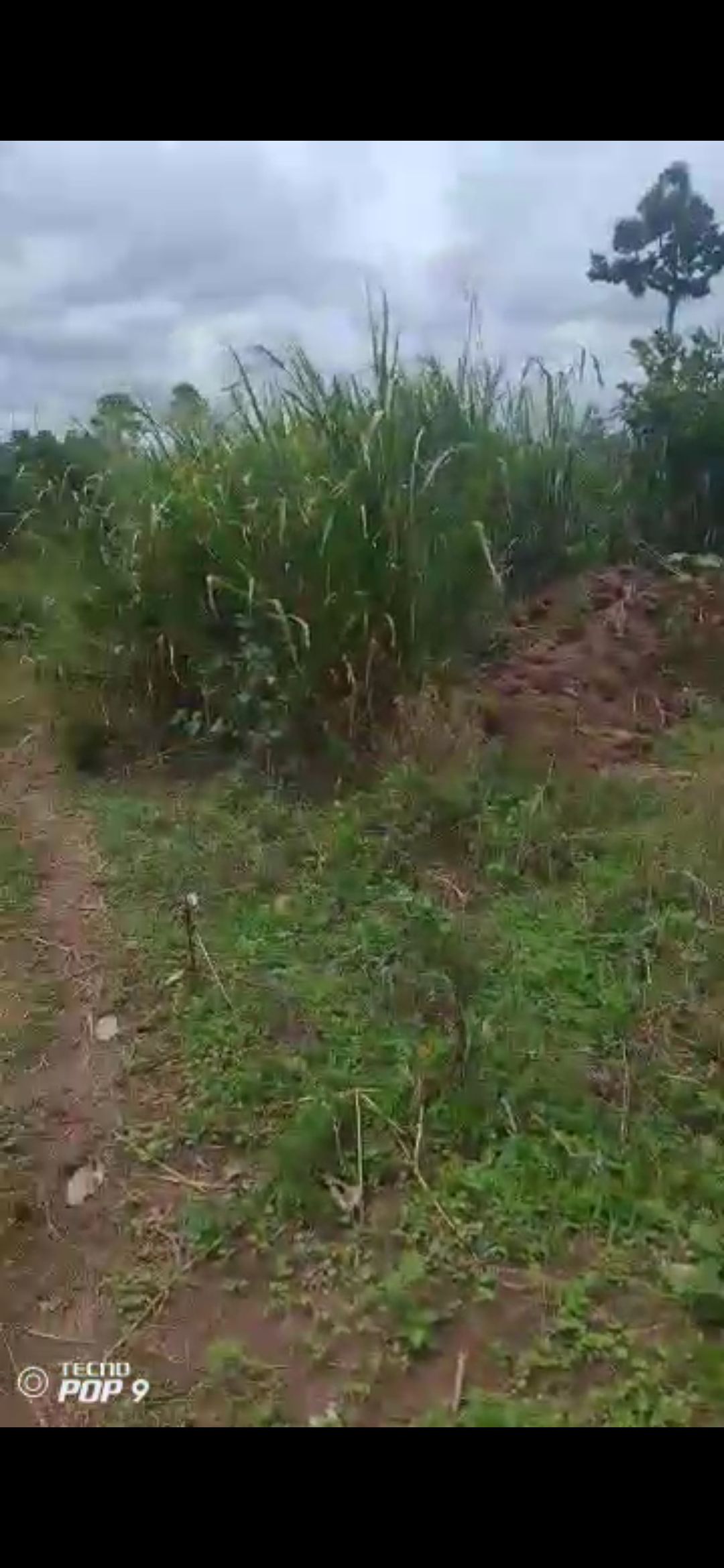 8HA ZI à 200m du bitume