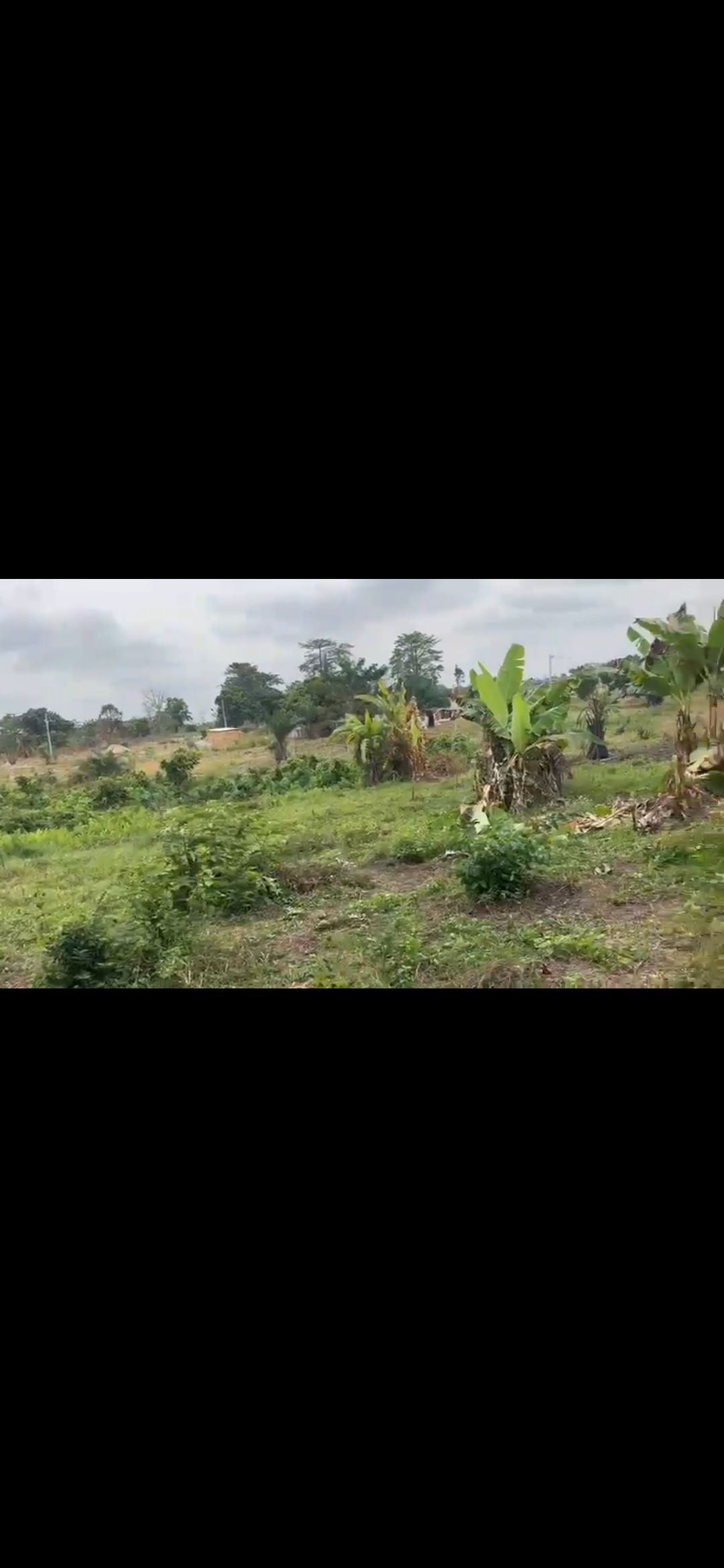 Terrain de 600 m² - zone EBENEZER