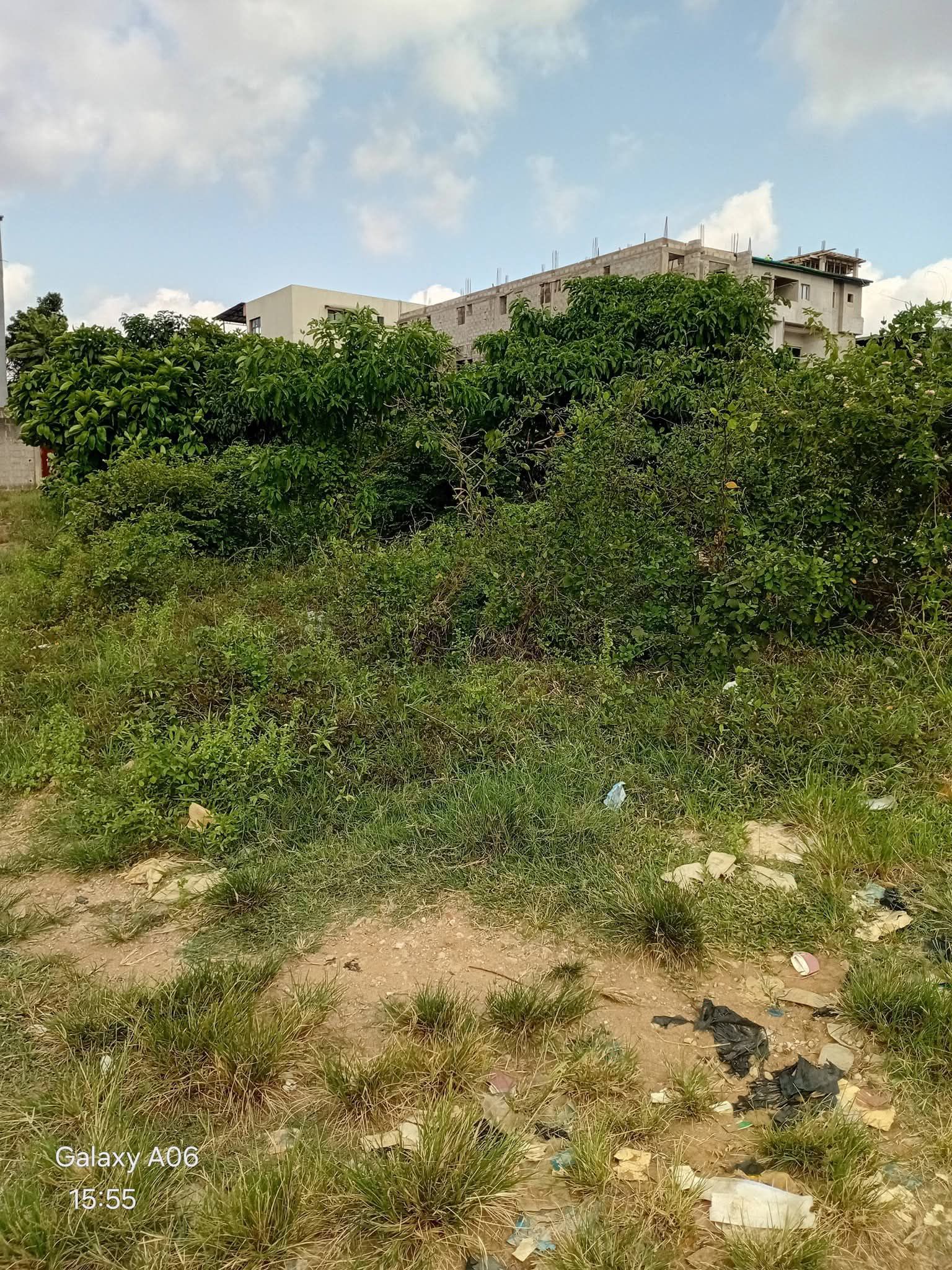 Location de terrain