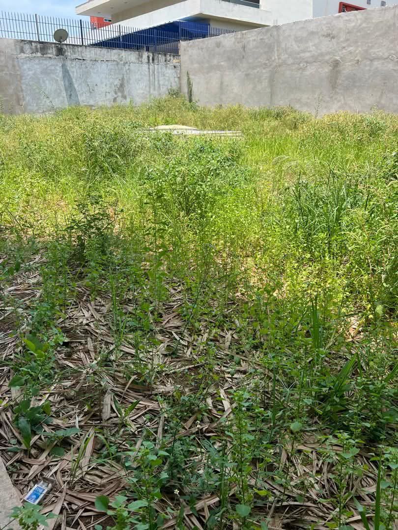 LOCATION DE TERRAIN