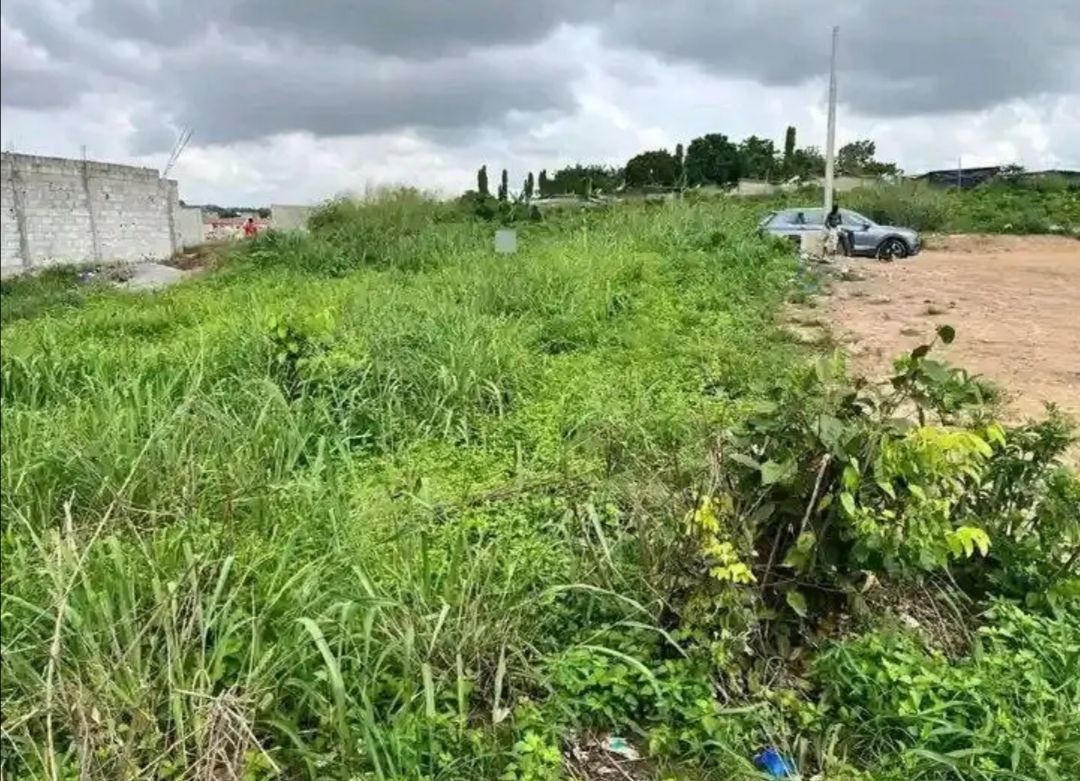 Terrain en vente