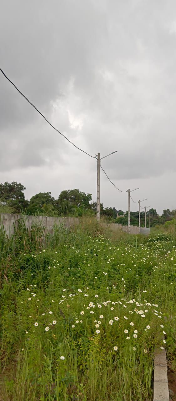 IN TERRAIN D'UN HECTARE EN VENTE