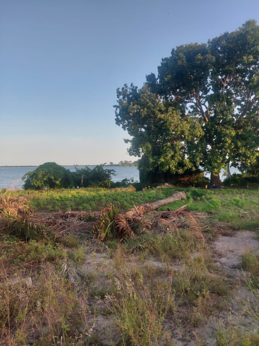 UN TERRAIN DE 1000m² EN VENTE