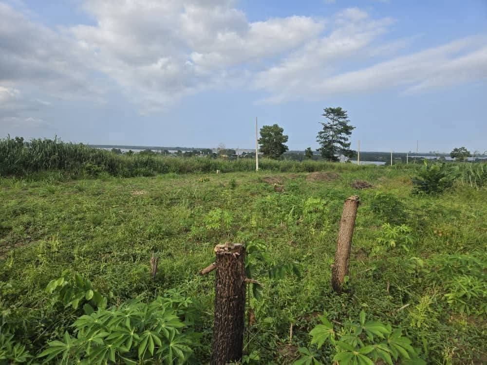 Terrain en vente