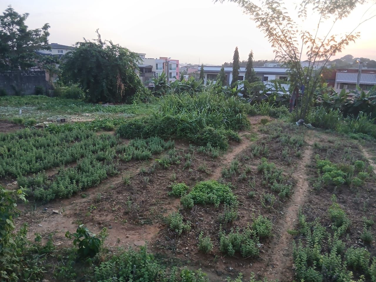 VENTE D'UN TERRAIN DE 800M2