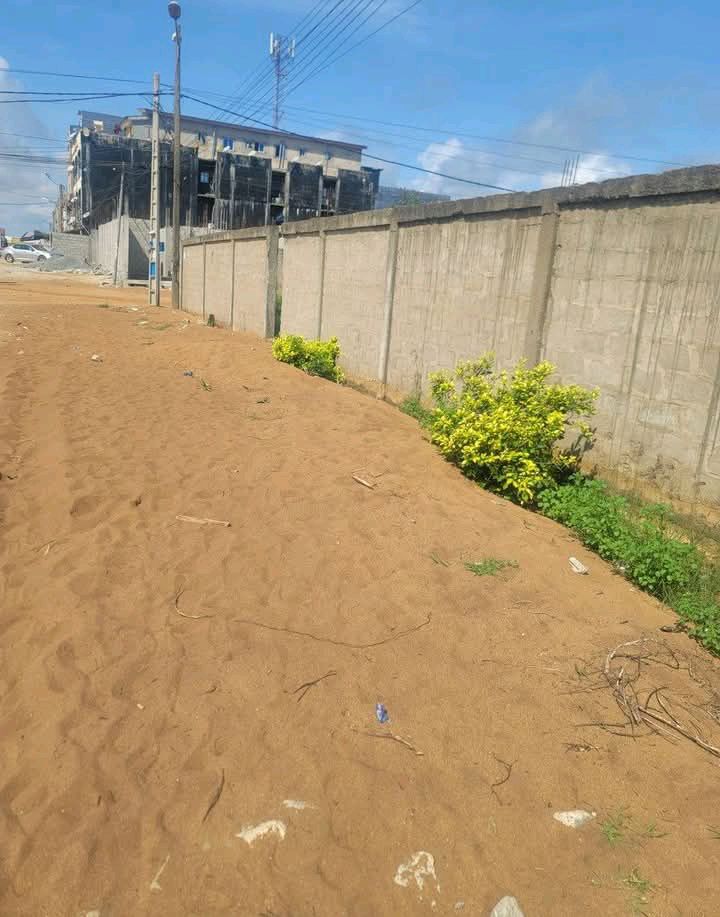 Terrain