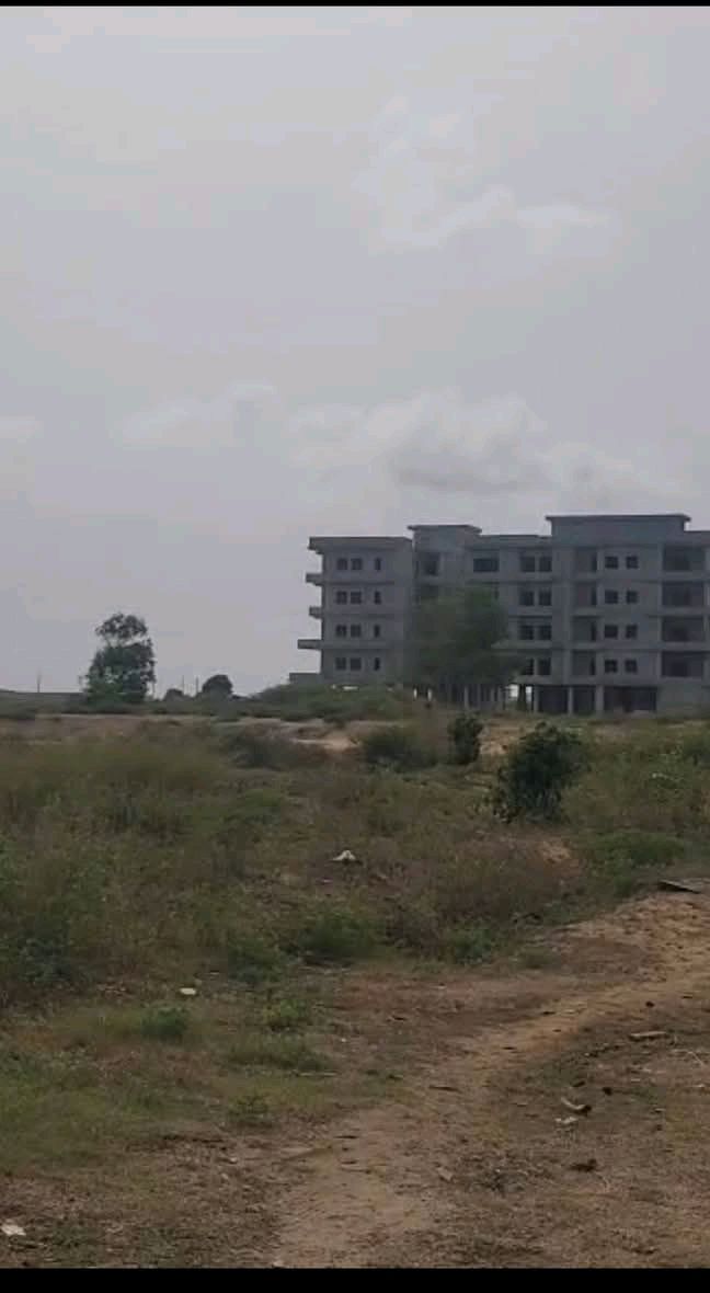 Terrain