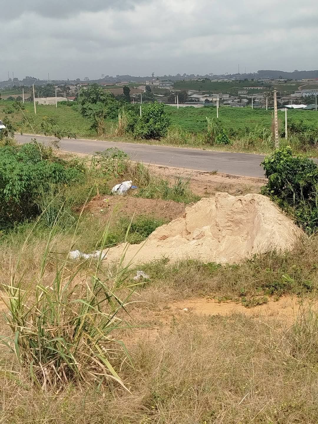 Terrain
