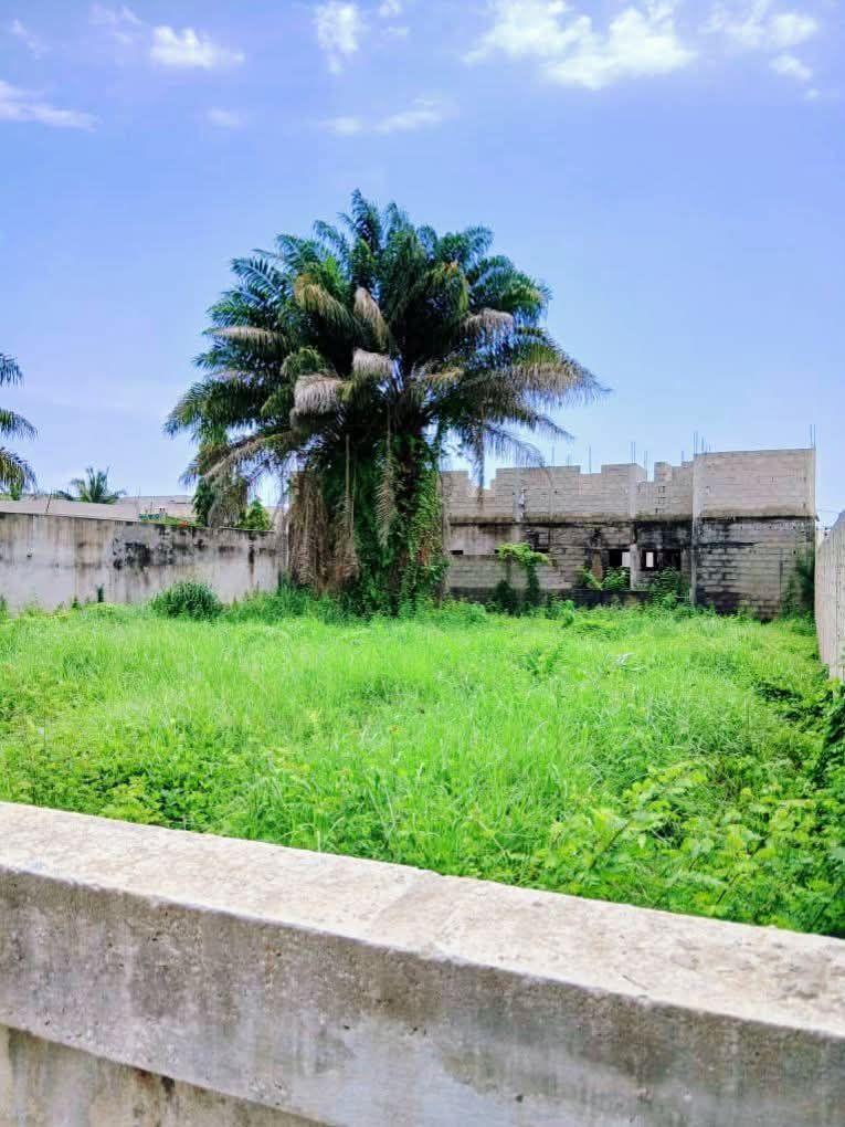 Terrain en vente