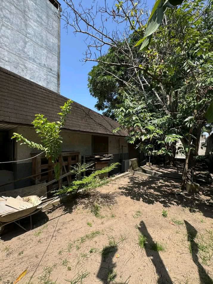 Terrain