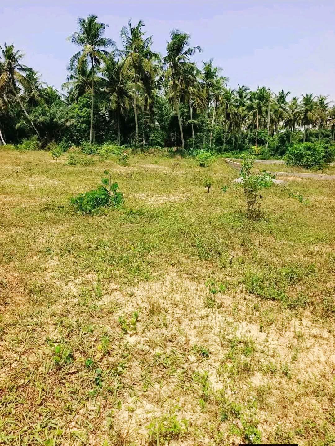 Terrain en vente
