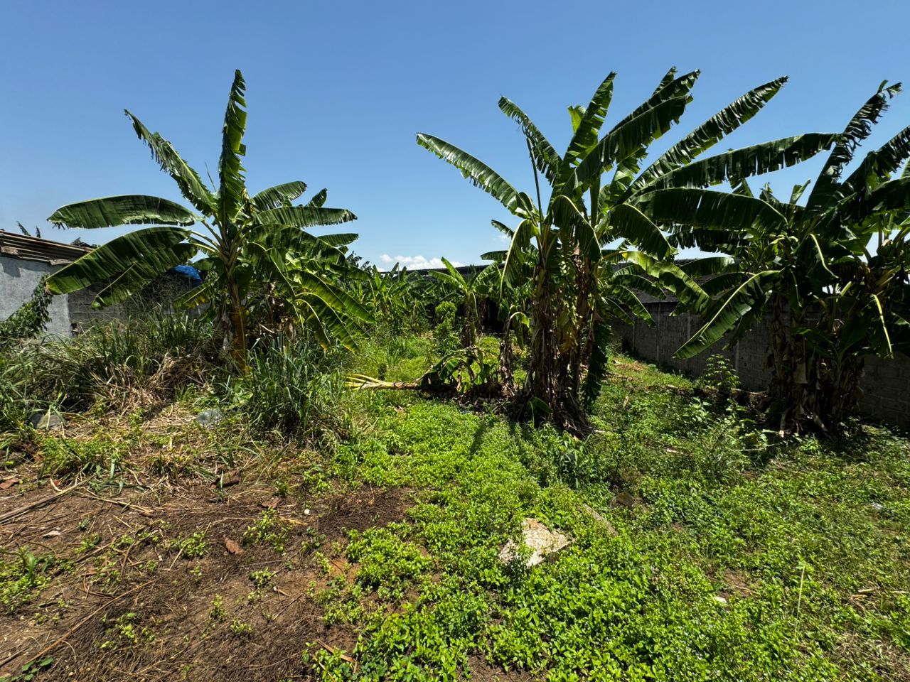 UN TERRAIN DE 613 m² À VENDRE