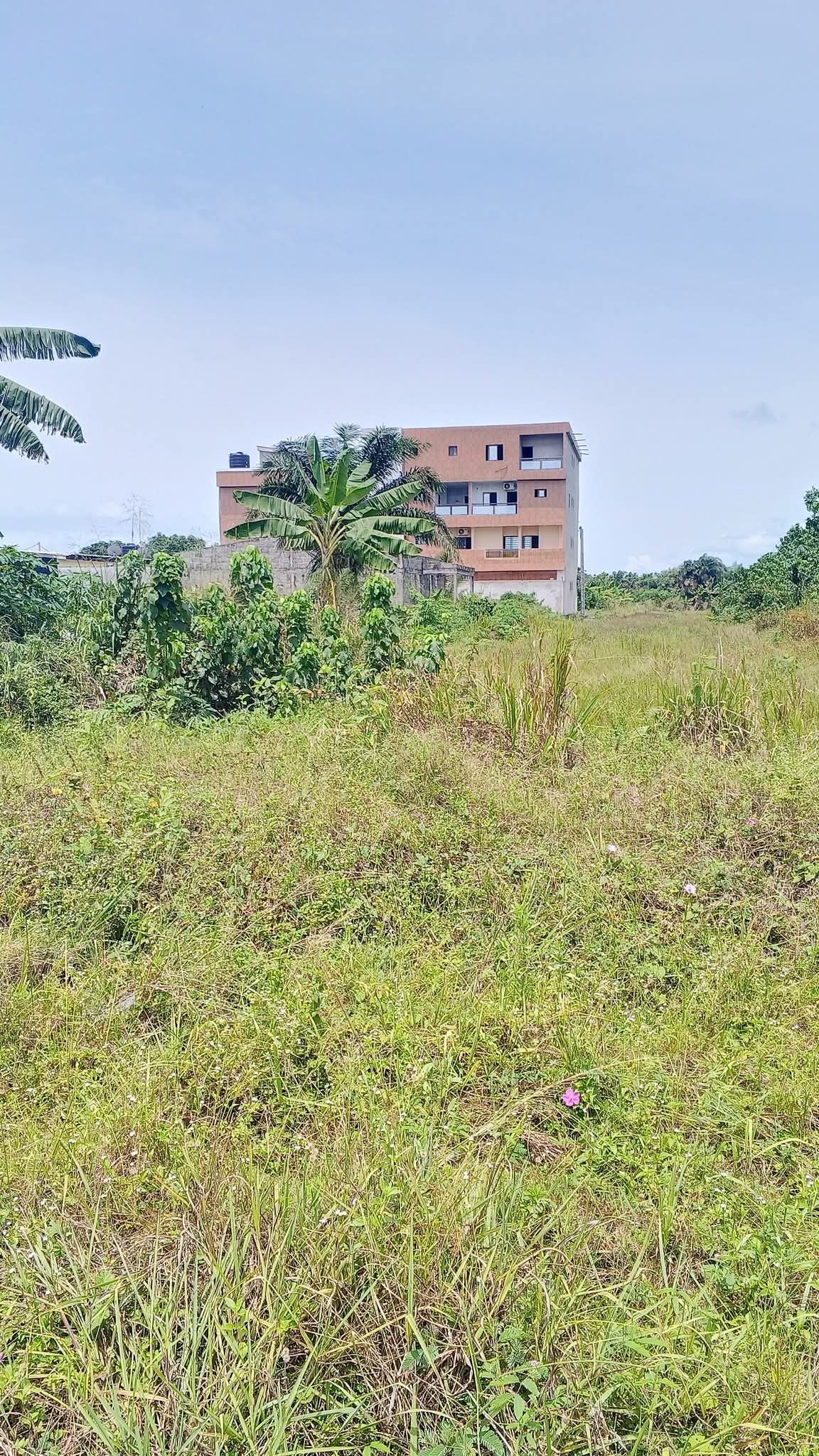 Terrain en vente