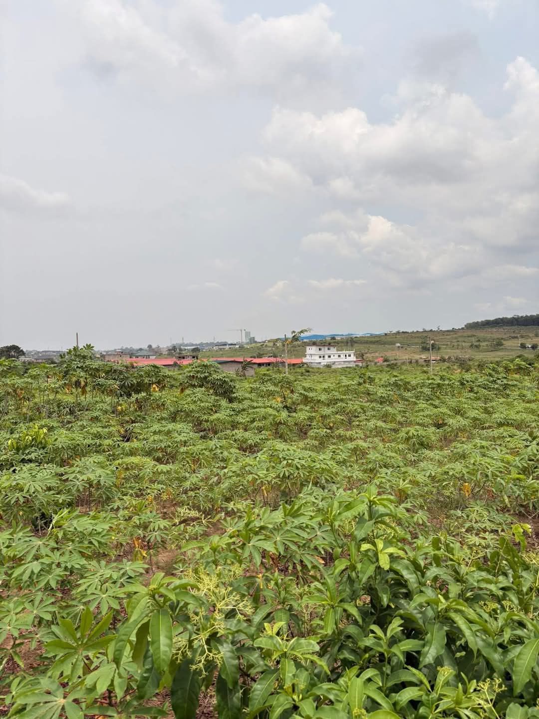 Terrain en vente