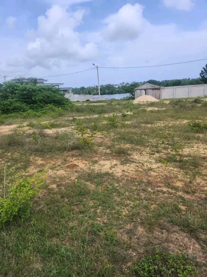 Terrain