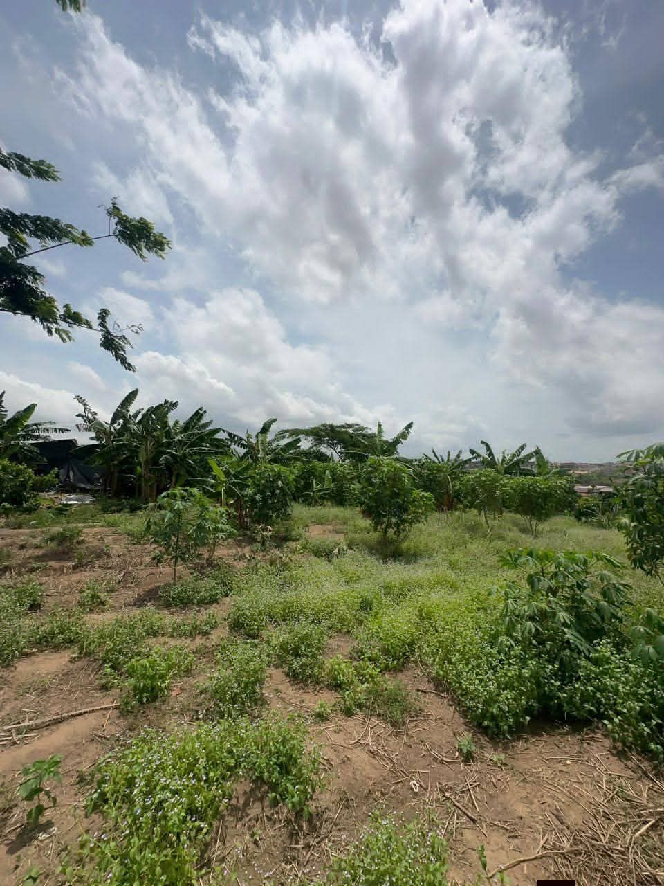 TERRAIN DE 4.500 m² EN VENTE