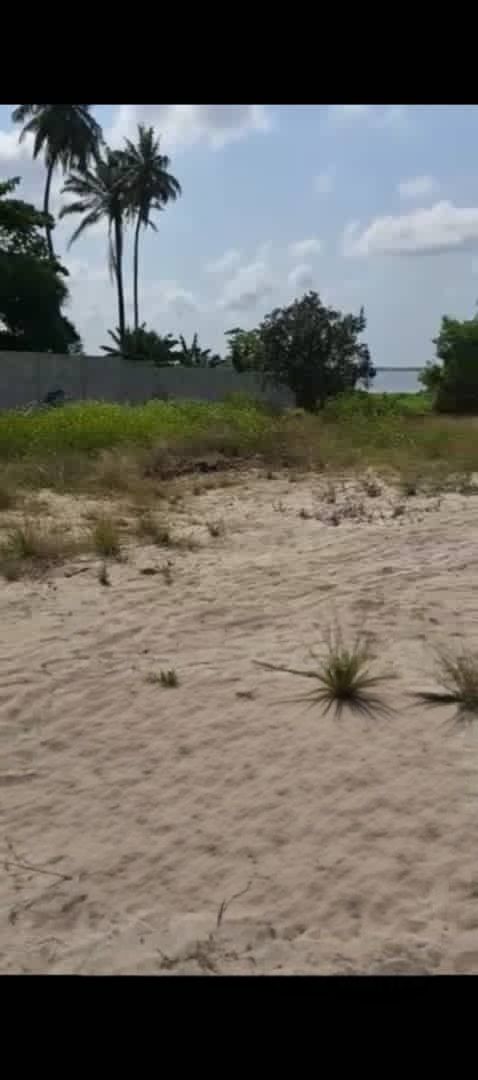 UN TERRAIN DE 1000m2 EN VENTE