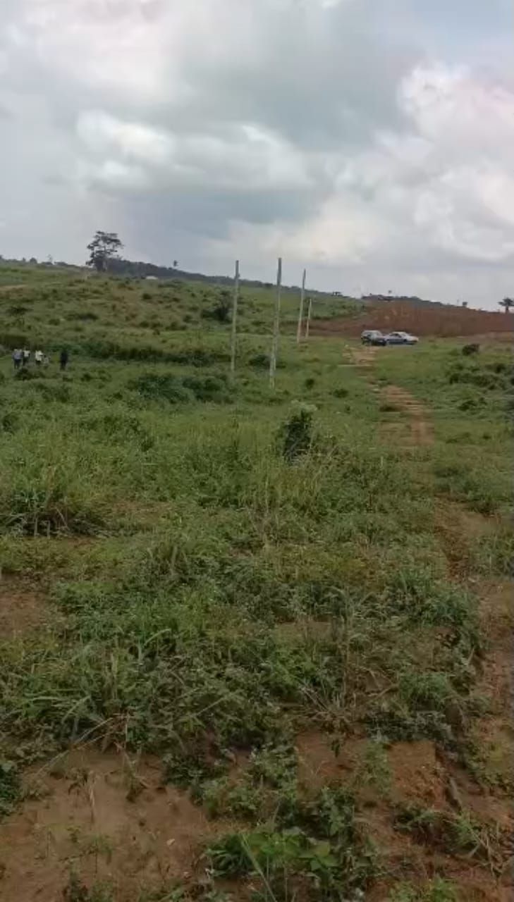 Terrain en vente