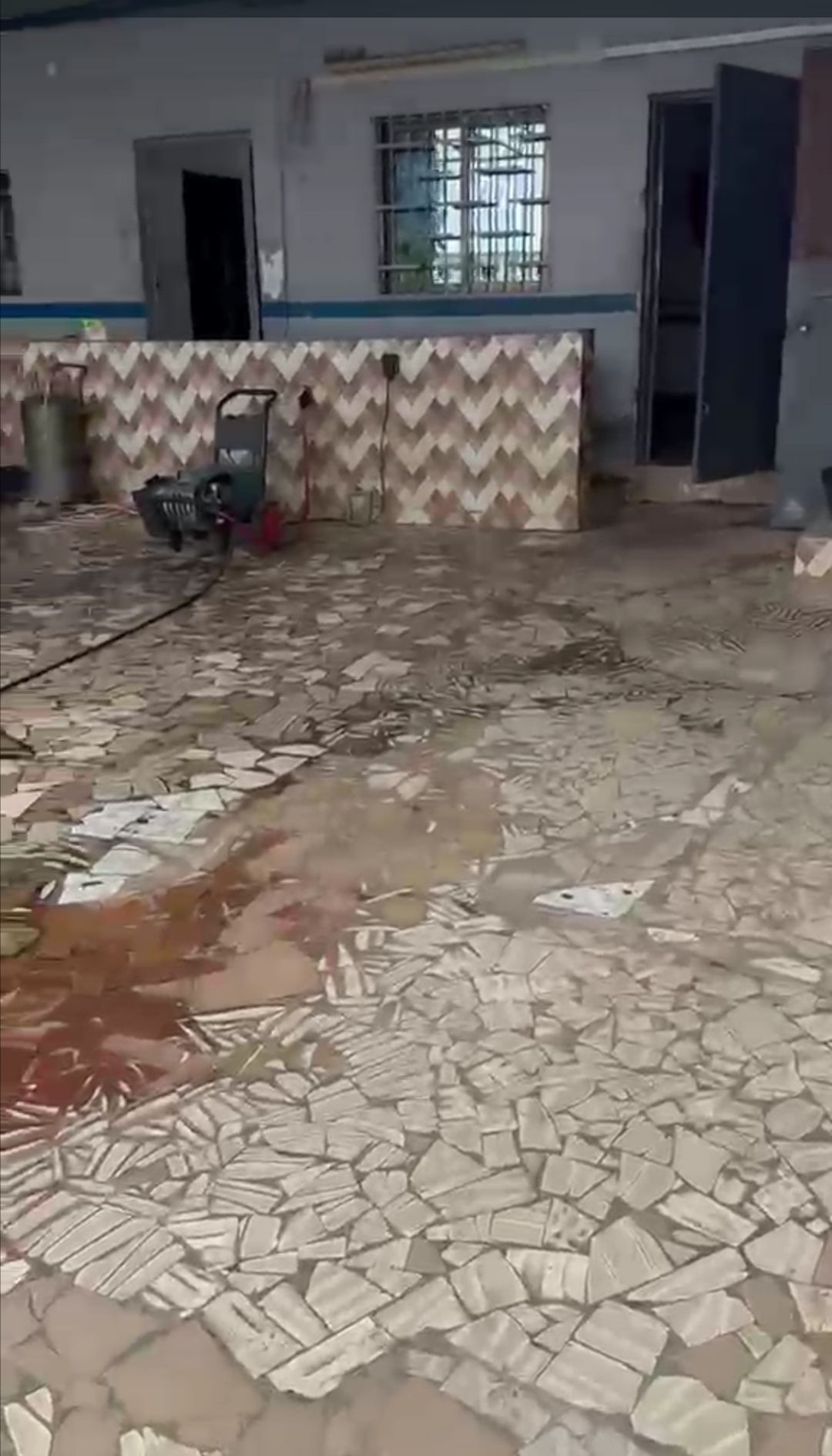 Lavage en vente