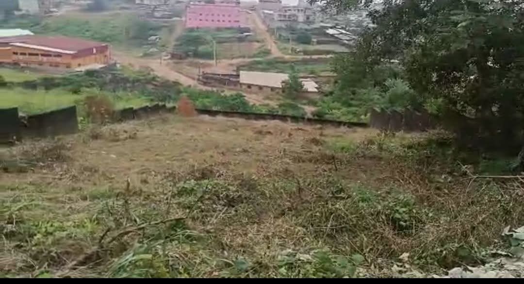Beau terrain de 500m2 avec ACD