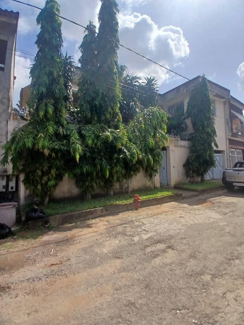 Splendide duplex 5 pièces avec CMPF sur 300m2