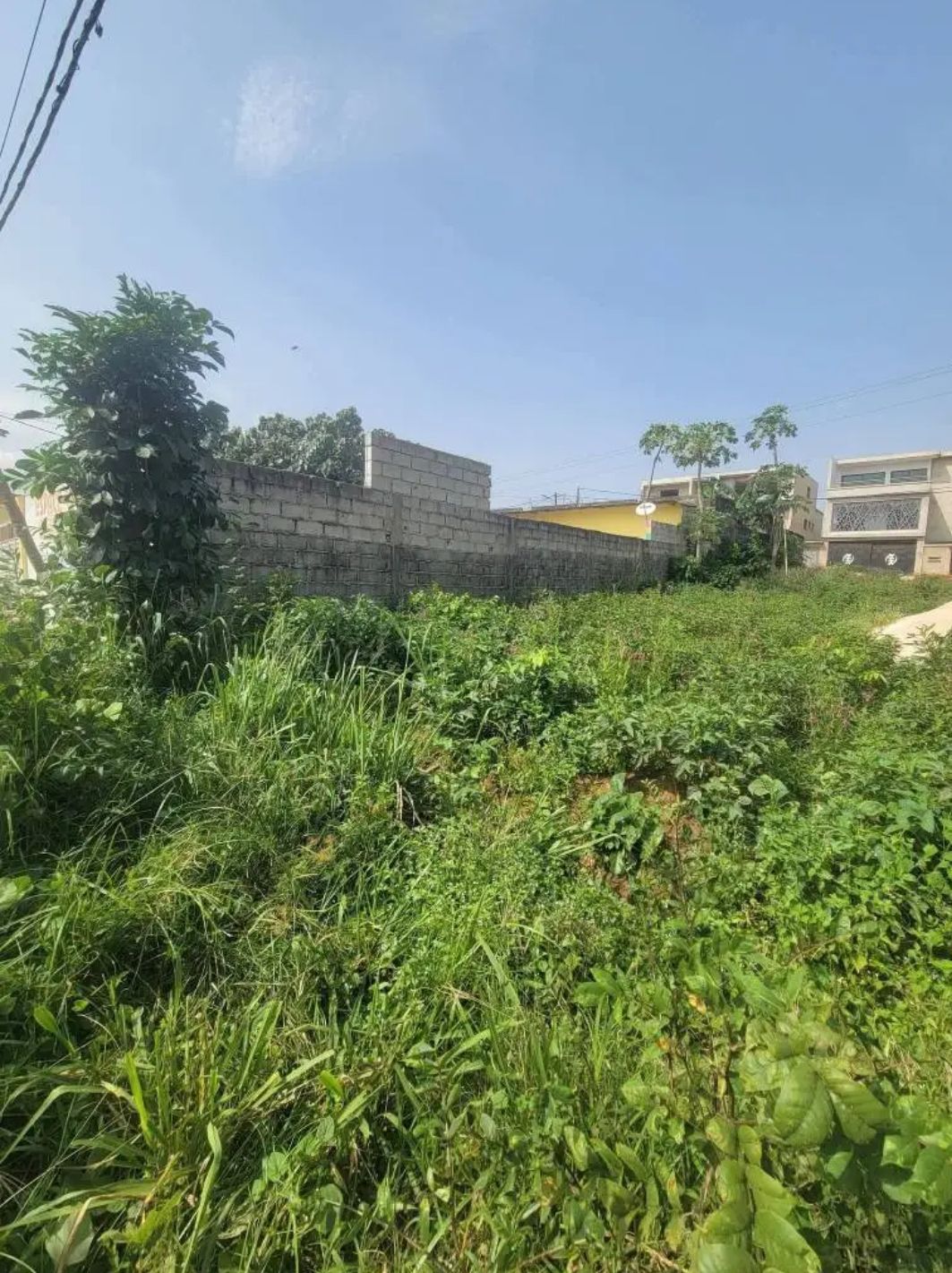 Magnifique terrain de 800m2 avec ACD