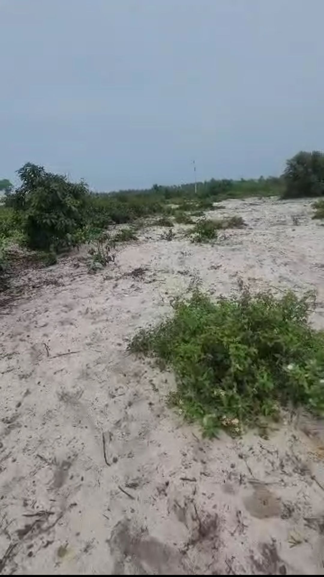 Terrain