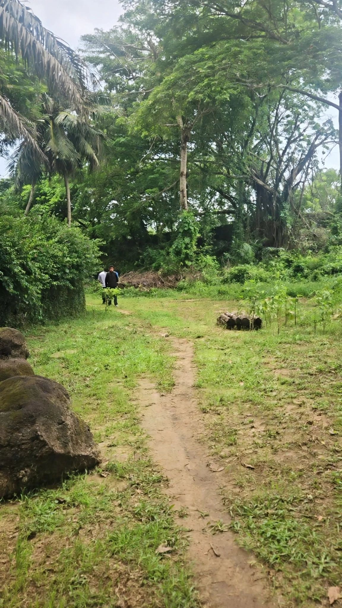 Terrain Cocody Danga
