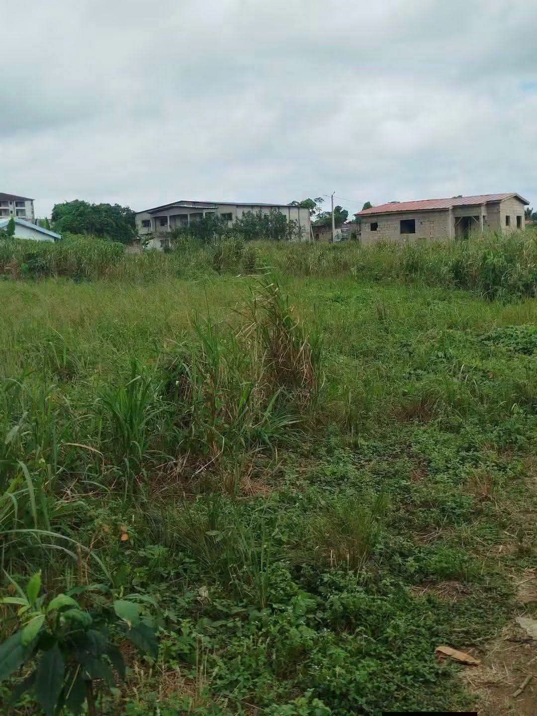 Terrain de 1200m2 avec ACD