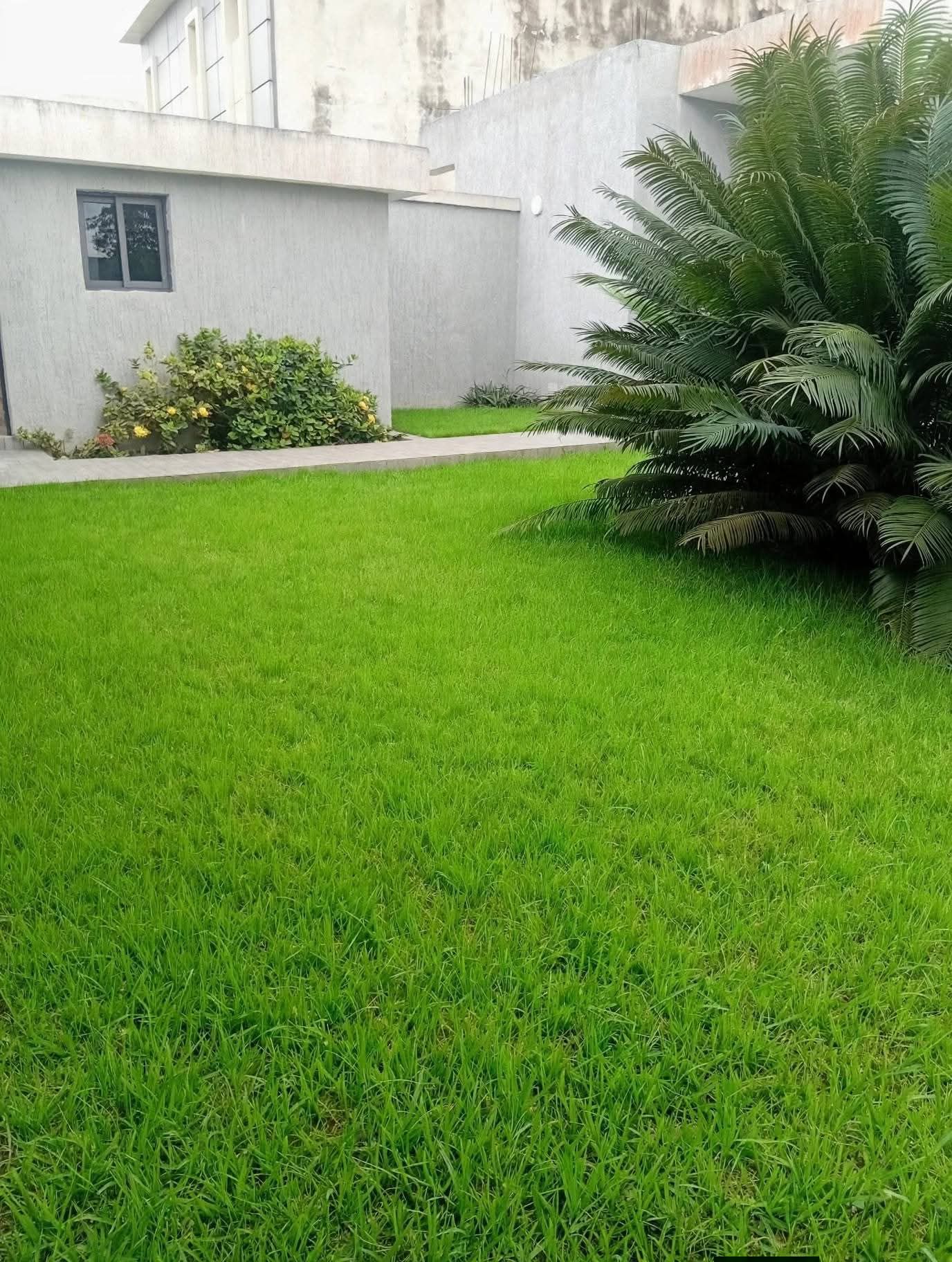 Villa basse 7 pièces sur 700 m2
